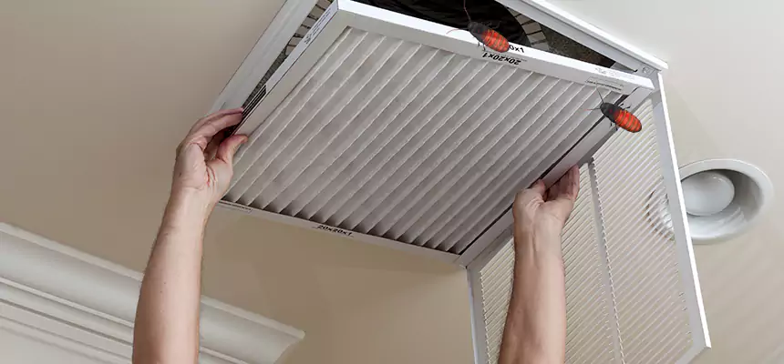 Preventive Cockroach-Proofing for Ducts in Lindenhurst