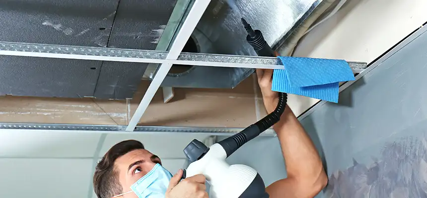 Our Air Duct Rodent Removal Services in Lindenhurst, NY