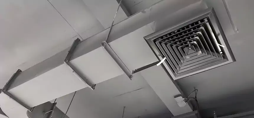 Restorative Allergy Relief Vent Cleaning – Coil, Blower & Housing Detail in Lindenhurst