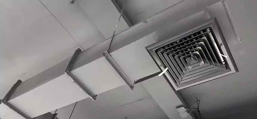 Our Rodent Droppings In Vents Services in Lindenhurst, NY