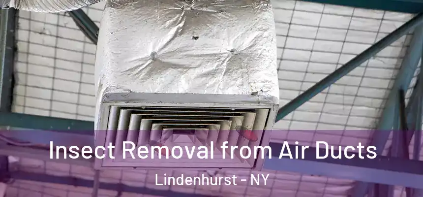  Insect Removal from Air Ducts Lindenhurst - NY