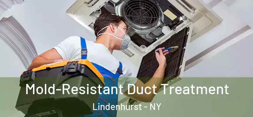  Mold-Resistant Duct Treatment Lindenhurst - NY