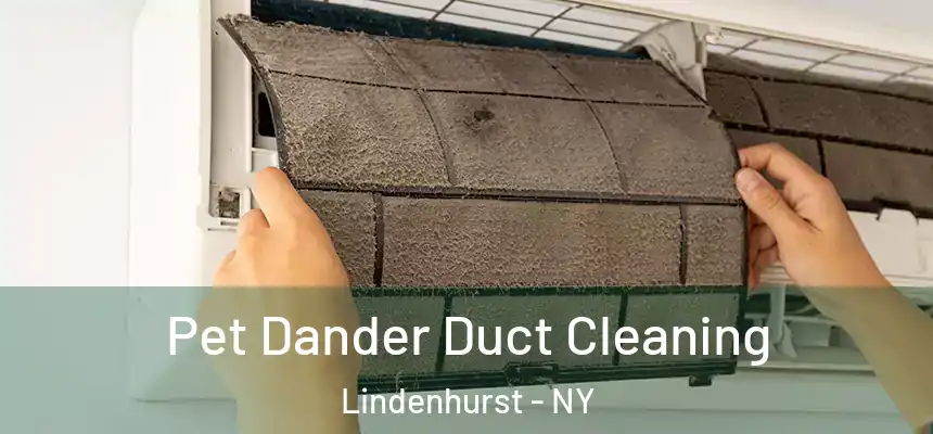  Pet Dander Duct Cleaning Lindenhurst - NY