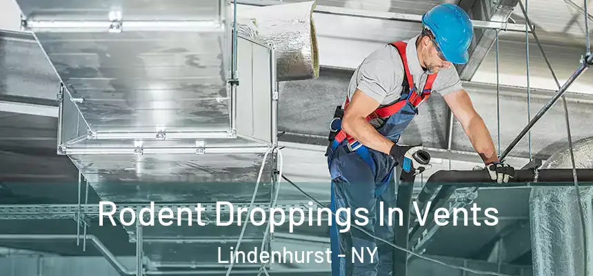  Rodent Droppings In Vents Lindenhurst - NY