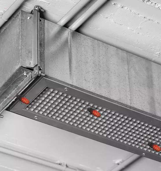 Affordable Insect Removal from Air Ducts in Lindenhurst, NY