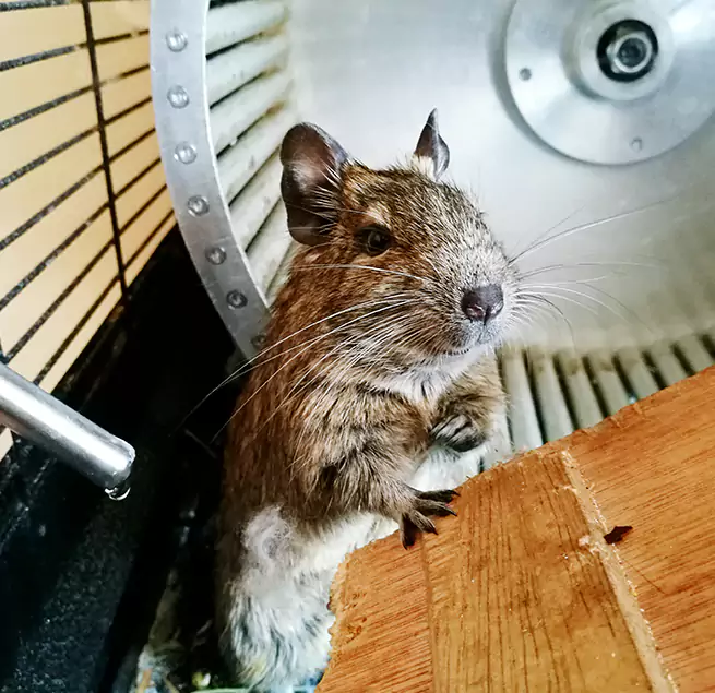 Why Homeowners & Businesses Trust Us Lindenhurst, NY