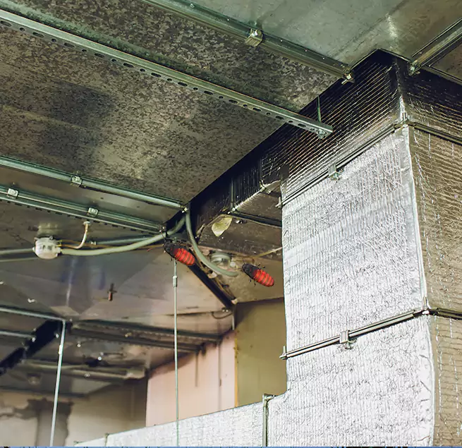 Why Homeowners & Businesses Trust Us Lindenhurst, NY?